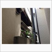 お隣の屋根が、、、