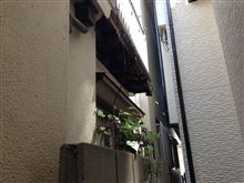お隣の屋根が、、、