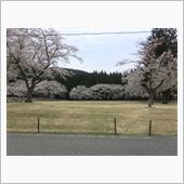 居眠り連発