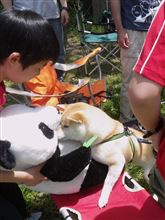 テラノＭＬＧＷＢＢＱ （パンダさんLOVE♡）
