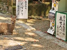 奈良に蔓延る癒着の構造が今ここに明らかに！