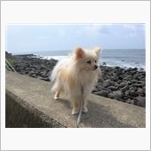釣り師復活するもあえなく玉砕