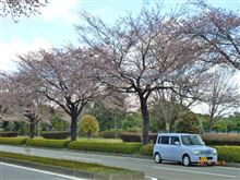 なーちゃんの2014春の徒然日記 なーちゃんの2014春の徒然日記