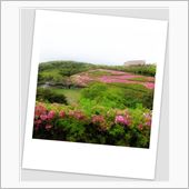 GW最後は・・・・・結局、近 ...