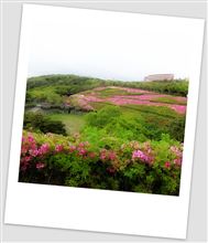 GW最後は・・・・・結局、近場へ・・・（笑）