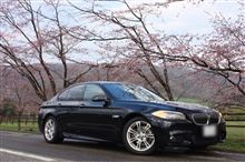優駿と桜とゴルフなど。F10修行もね。
