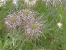 ５月６日火曜日（振替休日）の日記