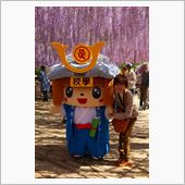 足利フラワーパーク