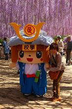 足利フラワーパーク