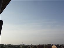 ５月８日　相変わらずダルダルな木曜日、おはよ～♪