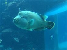ゴールデンウィーク2日目 琉球北へ