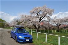 溜まってきたかも