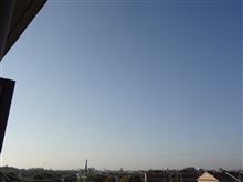 ５月９日　いい天気な金曜日、おはよ～♪