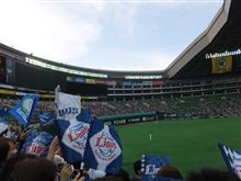 野球観戦（福岡ソフトバンクVS埼玉西武）