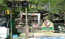 夢の国へ