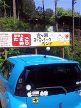 41歳の春だから…