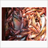 釣り