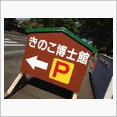 洗車でＧＯ！！