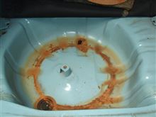 見てはいけないものを見てしまった・・・
