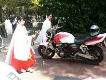 久しぶりの月報