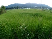 裏筑波の林道を走る。翌日猿へ♪