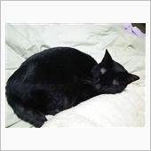 朝から運動会状態に～