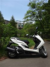 今日仙台は夏日だね！