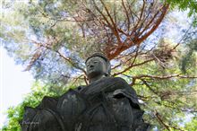川越大師『喜多院』と天台宗別格本山『中院』