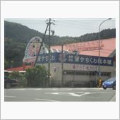 「サ」って何？