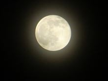 十六夜ー◎◎ー