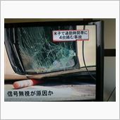 日向ぼっこか外観察か～