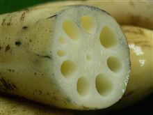 溺れる者は 蓮根 をも掴む? 溺れる者は 蓮根 をも掴む?