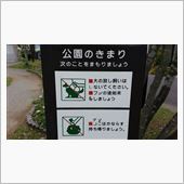 ドッグランと勘違い