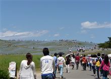 日立海浜公園へ