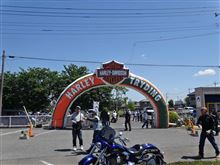 HARLEY TRYDING