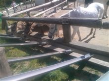 その３ プチオフ会に限った事では無いが、大人が子供の食べ物を奪うのは…(爆)
