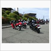 NO.833　20年ぶり？マ ...