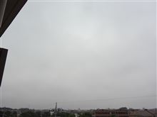 ５月２０日　曇り空な火曜日、おはよ～♪