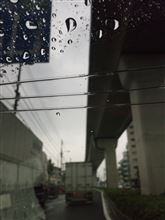 雨で寒い！！(゜ロ゜ノ)ノおまけにニュルリヾ(・◇・)ノ