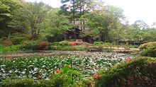 六甲山植物園
