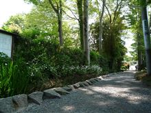 【ハイドラ！】お鷹の道／真姿の池湧水群の巻