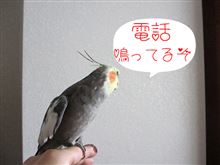 【足まで】一台アガリ!【届け】 【足まで】一台アガリ!【届け】