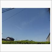松の上の方