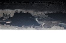 ブラックラズベリーを運んで