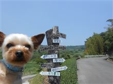 棚田へGO！