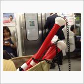 進化しない