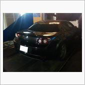 羽が無いと・・・