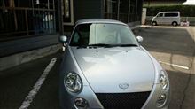 今日本格的スタート 今日本格的スタート
