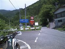 今日も今日とて