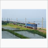 733系3000番台と、青が ...